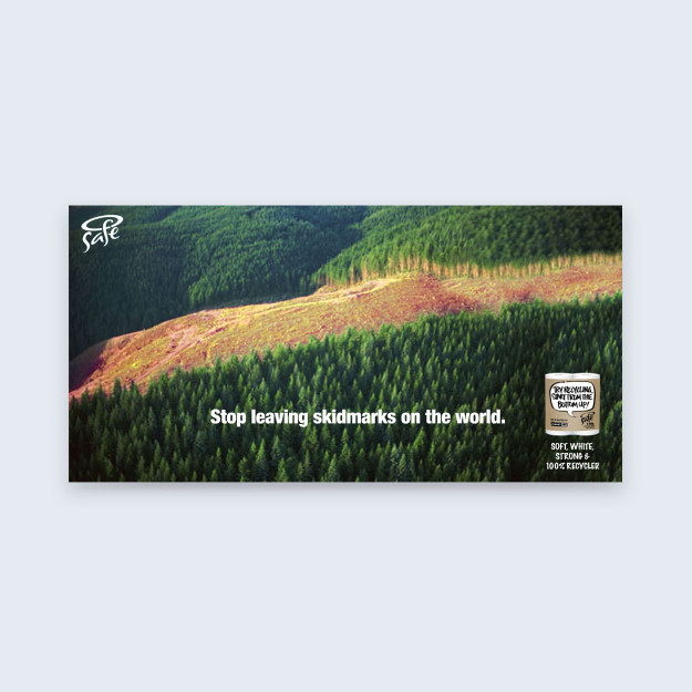 Safe Conceptual
